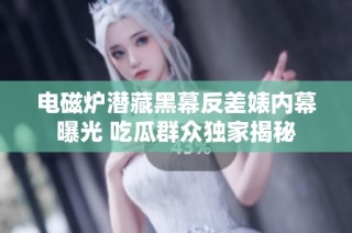 电磁炉潜藏黑幕反差婊内幕曝光 吃瓜群众独家揭秘