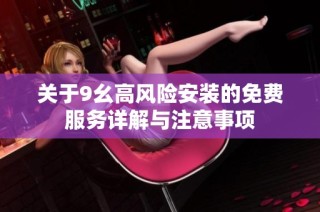 关于9幺高风险安装的免费服务详解与注意事项