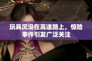 玩具沉没在高速路上，惊险事件引发广泛关注