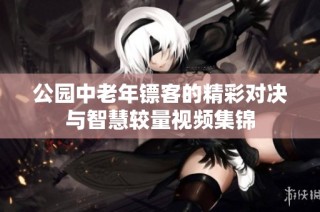 公园中老年镖客的精彩对决与智慧较量视频集锦