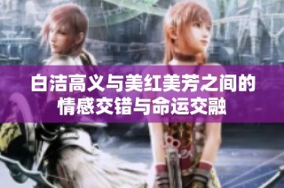 白洁高义与美红美芳之间的情感交错与命运交融
