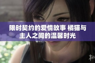 限时契约的爱情故事 橘猫与主人之间的温馨时光