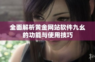 全面解析黄金网站软件九幺的功能与使用技巧