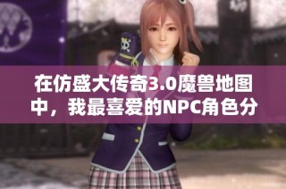 在仿盛大传奇3.0魔兽地图中，我最喜爱的NPC角色分析与推荐