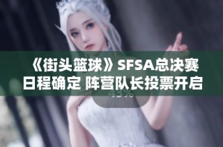 《街头篮球》SFSA总决赛日程确定 阵营队长投票开启时间有限