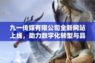 九一传媒有限公司全新网站上线，助力数字化转型与品牌展示