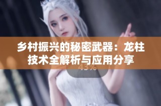 乡村振兴的秘密武器：龙柱技术全解析与应用分享