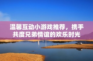 温馨互动小游戏推荐，携手共度兄弟情谊的欢乐时光