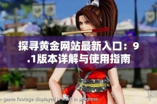 探寻黄金网站最新入口：9.1版本详解与使用指南
