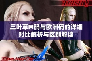 三叶草M码与欧洲码的详细对比解析与区别解读