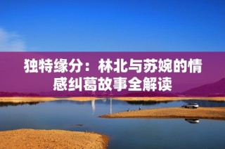 独特缘分：林北与苏婉的情感纠葛故事全解读