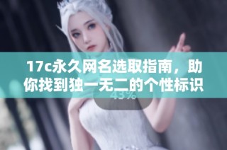 17c永久网名选取指南，助你找到独一无二的个性标识