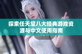 探索任天堂八大经典游戏资源与中文使用指南