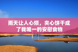 雨天让人心烦，夹心饼干成了我唯一的安慰食物