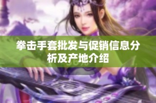 拳击手套批发与促销信息分析及产地介绍