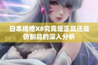 日本插槽X8究竟是正品还是仿制品的深入分析
