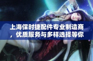 上海保时捷配件专业制造商，优质服务与多样选择等你来发现