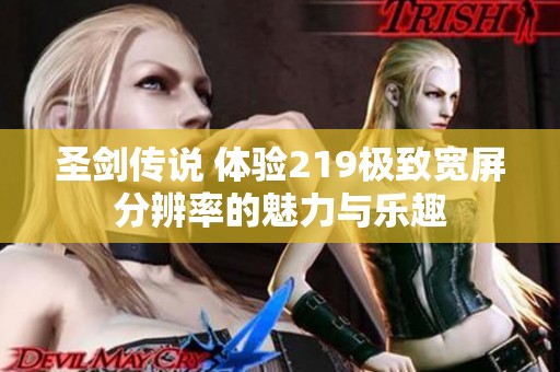 圣剑传说 体验219极致宽屏分辨率的魅力与乐趣