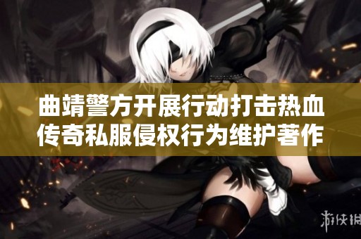 曲靖警方开展行动打击热血传奇私服侵权行为维护著作权合法权益
