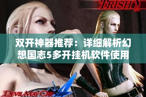 双开神器推荐：详细解析幻想国志5多开挂机软件使用教程