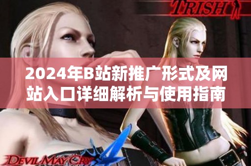 2024年B站新推广形式及网站入口详细解析与使用指南