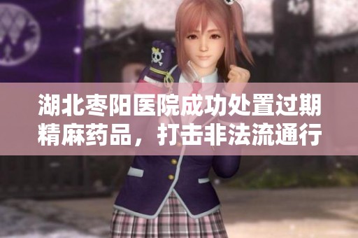 湖北枣阳医院成功处置过期精麻药品，打击非法流通行动取得成效