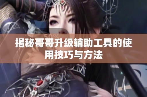 揭秘哥哥升级辅助工具的使用技巧与方法