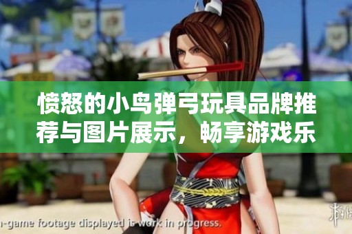 愤怒的小鸟弹弓玩具品牌推荐与图片展示，畅享游戏乐趣
