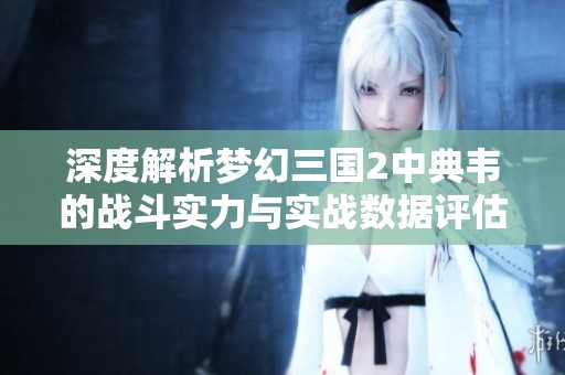 深度解析梦幻三国2中典韦的战斗实力与实战数据评估