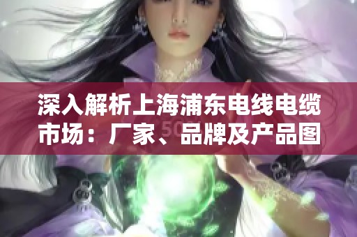 深入解析上海浦东电线电缆市场：厂家、品牌及产品图片全览