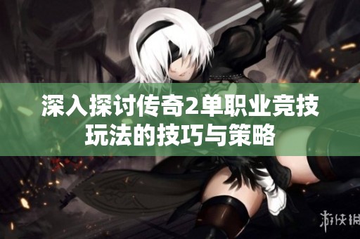 深入探讨传奇2单职业竞技玩法的技巧与策略