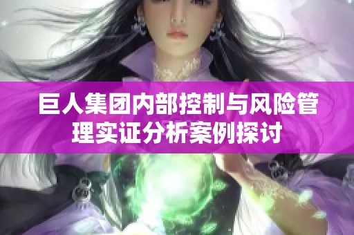巨人集团内部控制与风险管理实证分析案例探讨