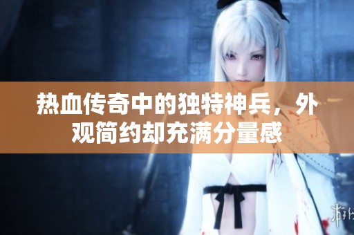 热血传奇中的独特神兵，外观简约却充满分量感